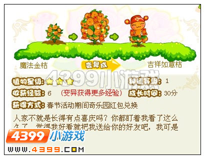 奥比岛吉祥如意桔的作用