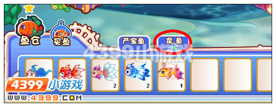 奥比岛怎样才能养龙鱼