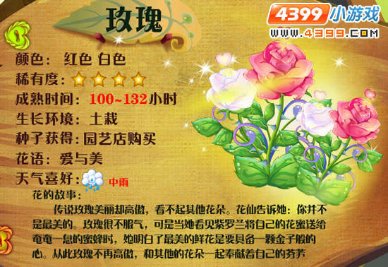小花仙玫瑰