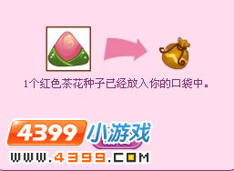 小花仙花之使者礼物
