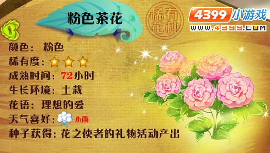 小花仙粉色茶花