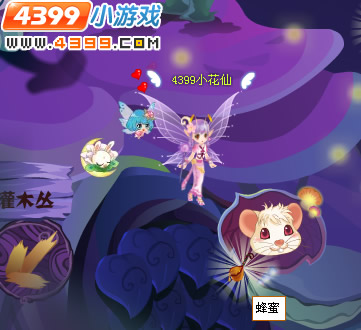 小花仙蜂蜜在哪收集？