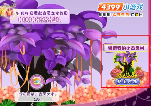 小花仙挽救古灵树之培育小古灵树