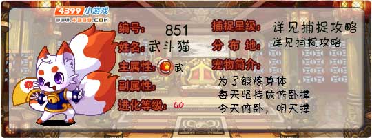 洛克王国武斗猫