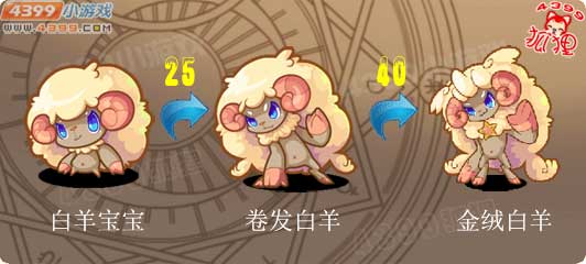 洛克王国白羊宝宝进化图