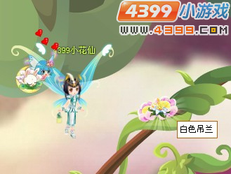 小花仙白色吊兰在哪里