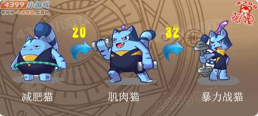 洛克王国减肥猫进化图