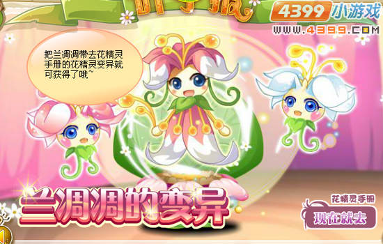 小花仙兰凋凋的变异
