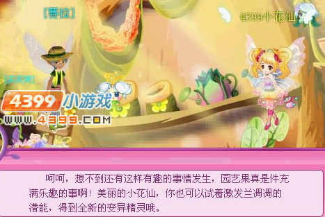 小花仙兰凋凋的变异