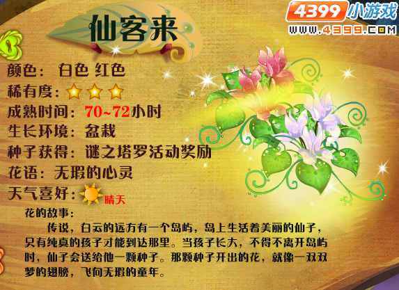 小花仙仙客来花种