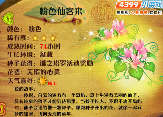 小花仙仙客来花种
