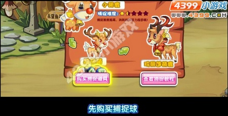 龙斗士怎么抓宠物