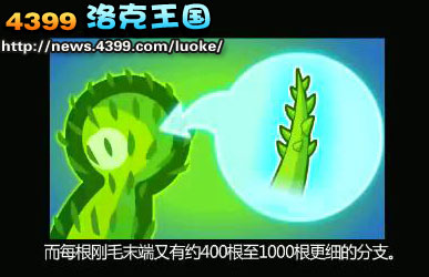 洛克王国宠物魔法师的考验 怎么成为宠物魔法师