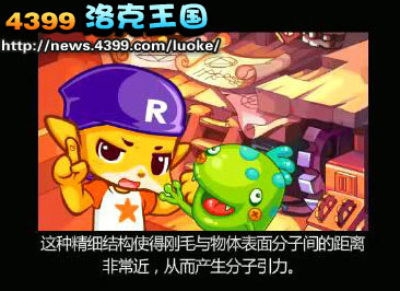 洛克王国宠物魔法师的考验 怎么成为宠物魔法师