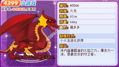 龙斗士火龙怎么得