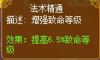 龙斗士魔导士法术精通