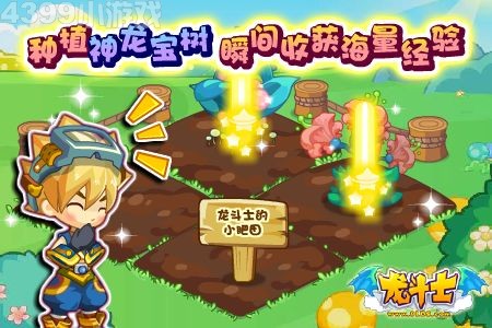 龙斗士种神龙宝树 收获海量经验