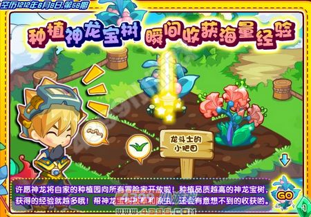 龙斗士神龙宝树攻略