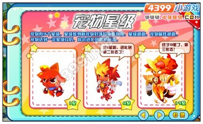 龙斗士宠物升星攻略