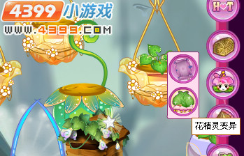 小花仙花精灵变异菖蒲盈盈