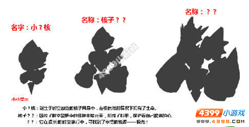 龙斗士新宠猜猜看