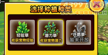  大闹天庭篇V3.1回到过去，穿越回神兽森林拯救青龙，宠物培养系统