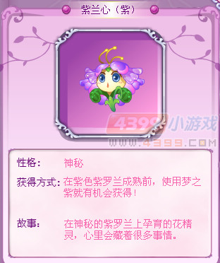 小花仙紫兰心（紫）花精灵