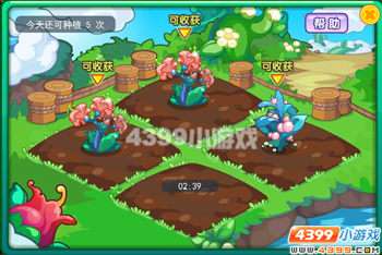 龙斗士神龙宝树系统攻略