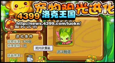 洛克王国武斗酷猫怎么得 魔力猫怎么进化武斗酷猫