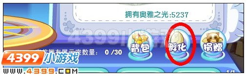 奥雅之光怎么把宠物放入宠物屋