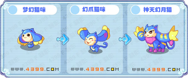 卡布西游梦幻猫咪刷什么 神天幻月猫练级