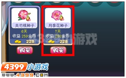 奥雅之光月季花种子在哪 怎么得