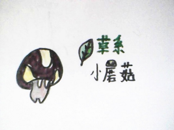 赛尔号手绘 抽象派画家的精灵作品