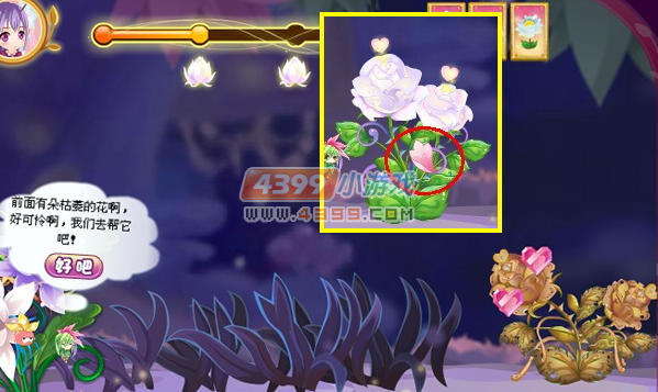 小花仙爱之星光旅程处理问题