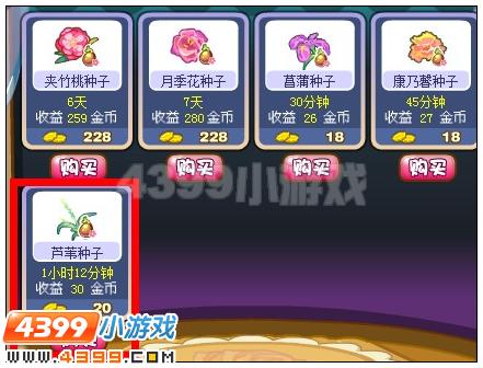 奥雅之光芦苇种子在哪 怎么得