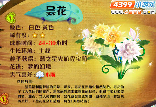 小花仙昙花 小花仙白色昙花 小花仙黄色昙花 昙花花种 小花仙昙花怎么得?