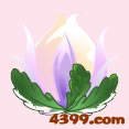小花仙昙花 小花仙白色昙花 小花仙黄色昙花 昙花花种 小花仙昙花怎么得？