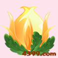 小花仙昙花 小花仙白色昙花 小花仙黄色昙花 昙花花种 小花仙昙花怎么得？