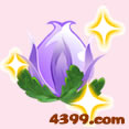 小花仙昙花 小花仙白色昙花 小花仙黄色昙花 昙花花种 小花仙昙花怎么得?
