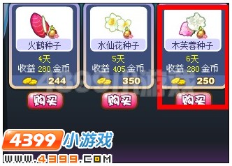 奥雅之光木芙蓉种子在哪 怎么得