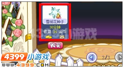 奥雅之光雪绒花种子在哪 怎么得