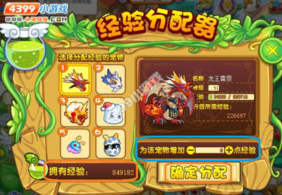 龙斗士宠物经验分配器在哪