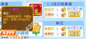 龙斗士鲜花怎么得