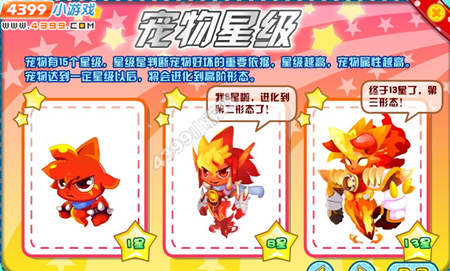 龙斗士宠物星级解析