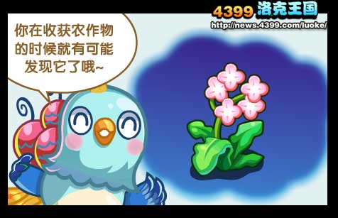 洛克王国呆羽雀的感谢
