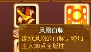 龙斗士九天凤凰技能演示