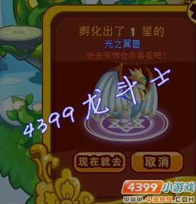 龙斗士战士打光翼守护者攻略