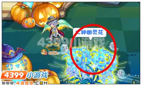 奥雅之光大种幽灵花在哪 怎么得