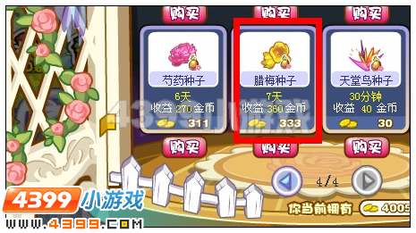 奥雅之光腊梅种子在哪 怎么得
