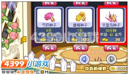 奥雅之光天堂鸟种子在哪 怎么得
